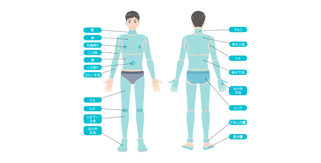 全身脱毛ライト全身のみ
