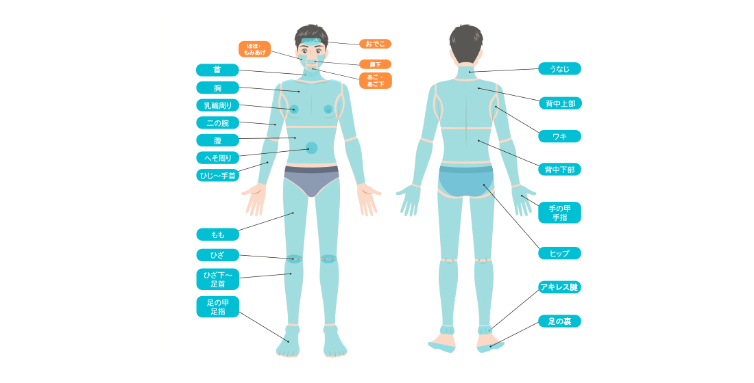 全身脱毛セレクト全身+顔全体