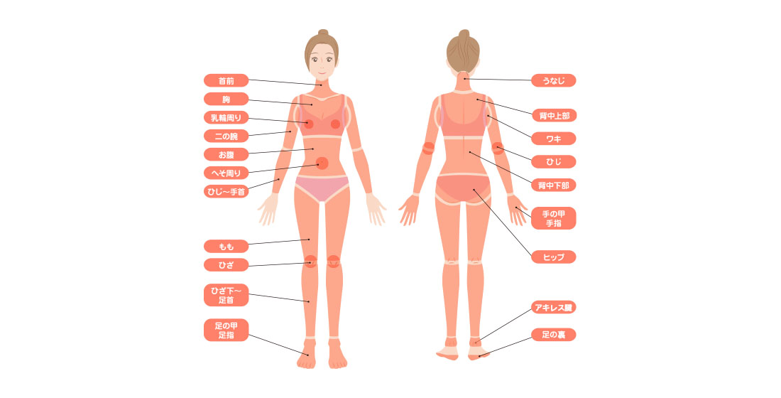 全身脱毛ライト全身のみ