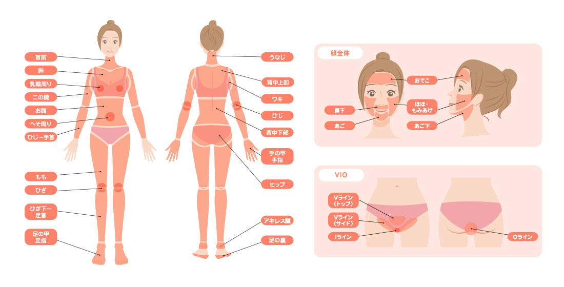 全身脱毛パーフェクト全身＋VIO＋顔全体
